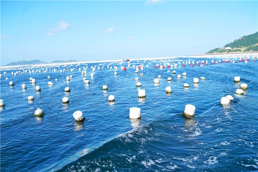 嵊泗旅游美食攻略,嵊泗攻略3天2夜美食推荐