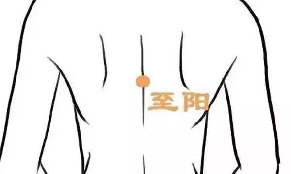 激活7个“生阳点”,源源不断升发阳气