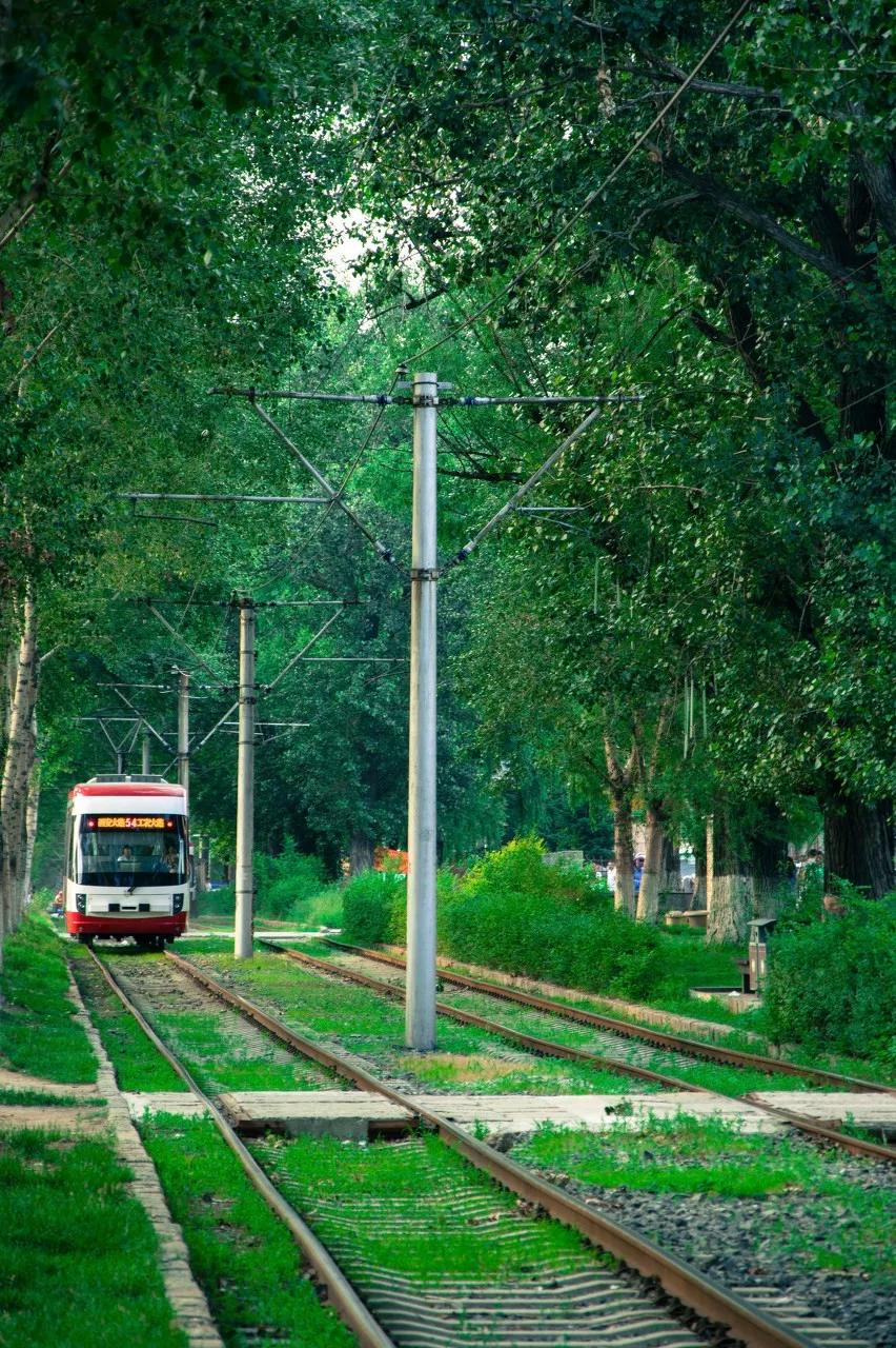 东北三省最适合宜居的城市,东北三省宜居养老城市