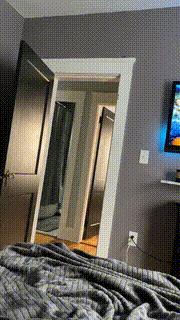 最新海外火爆搞笑视频,50张全球搞笑gif