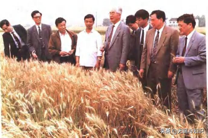 当年的无锡老照片,老照片那些关于江苏无锡的记忆