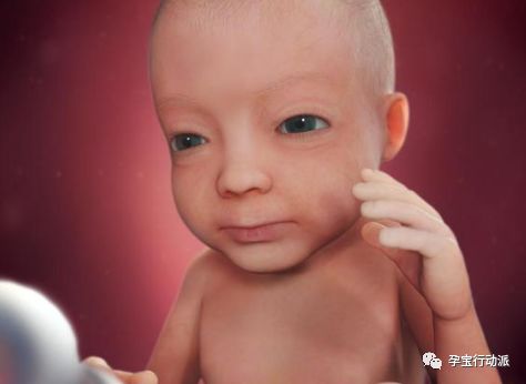 孕期日记第27周,孕期日记第21周