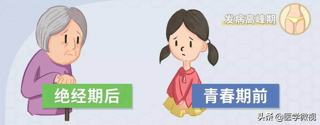 外阴瘙痒久治不愈怎么回事,清洁度三度外阴瘙痒久治不愈