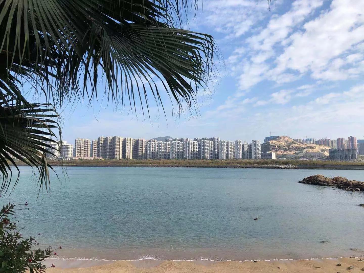 8集电视剧《雾雨》大结局