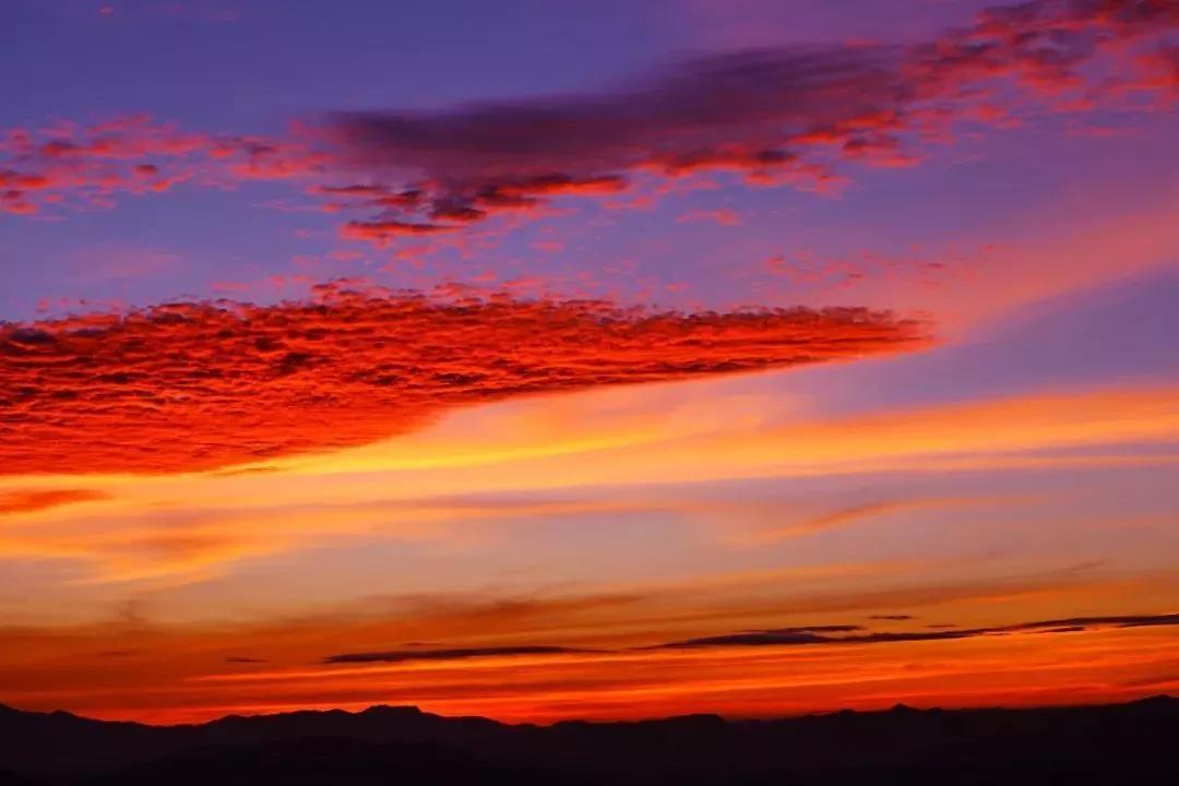 泰国实在“泰”好吃了，连百万粉丝的旅行大咖都频频去打卡