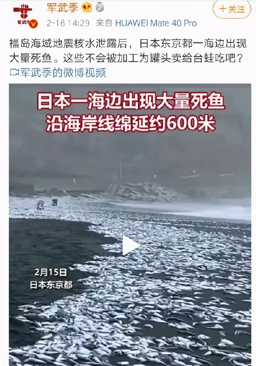 日本排放核污水发现大量死鱼,日本排放核废水被发现