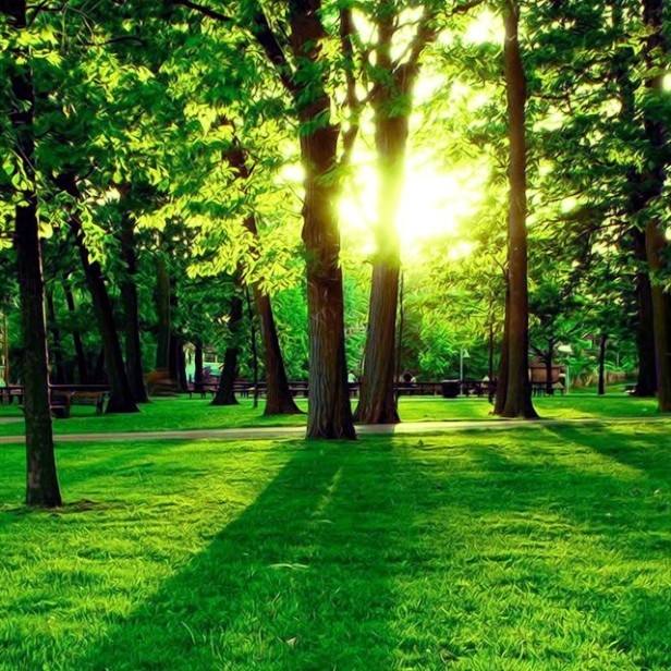 南昌市足球幼儿园,2021年全国足球特色幼儿园示范园