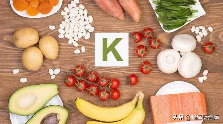 猫得肠胃炎的症状治疗需要多少钱,猫肠胃炎科普