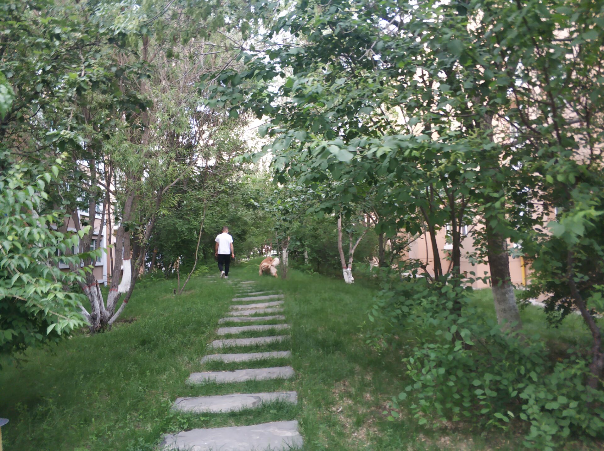 华美文轩乌鲁木齐,华美文轩家园乌鲁木齐