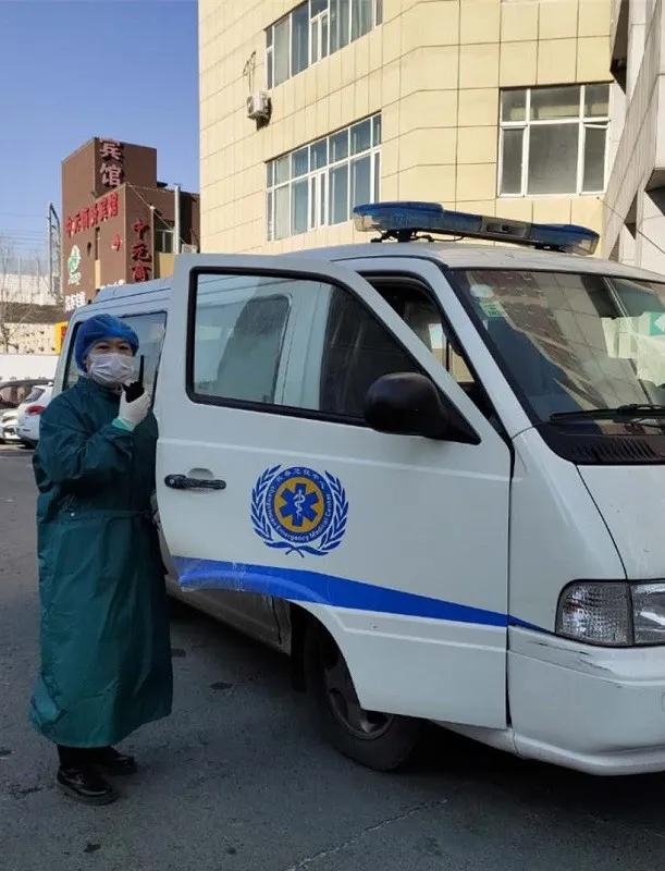 美丽迎春花开了,迎春花盛开的绝美春日盛景