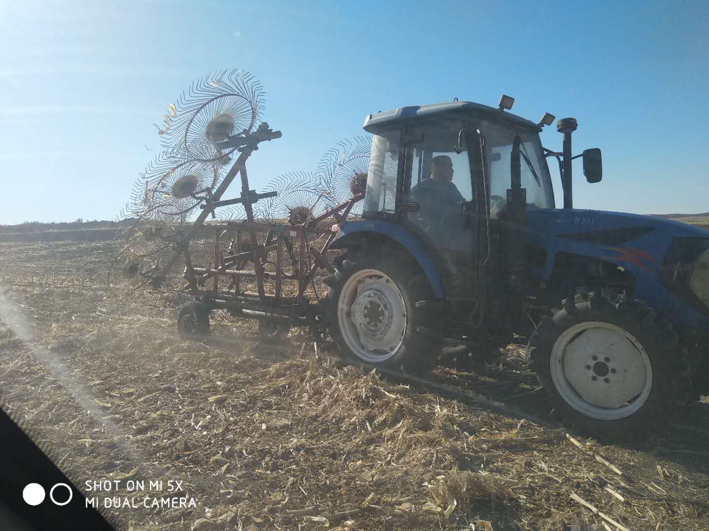 扎赉特旗新林镇收玉米,扎赉特旗托管