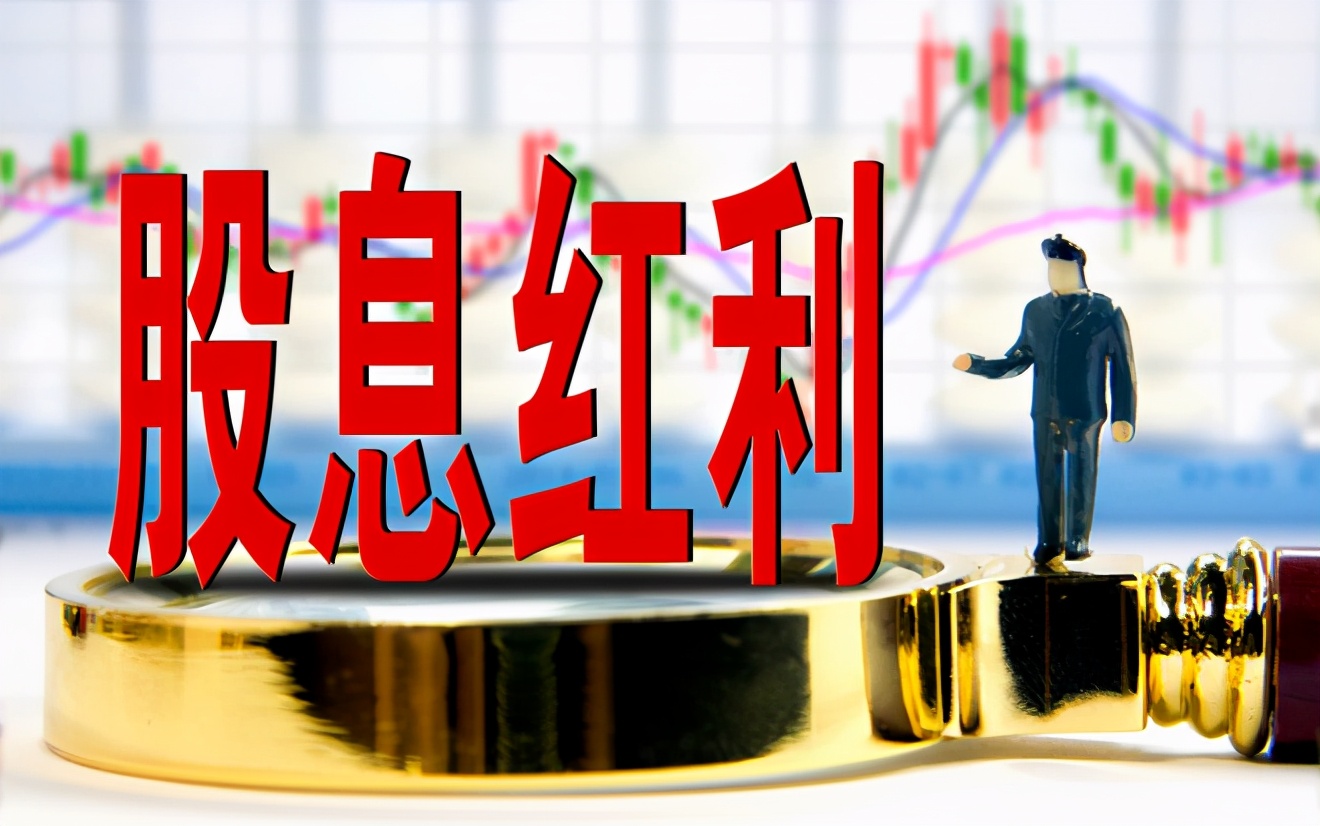 分红高业绩稳定增长的股票,分红高且稳定的小盘股