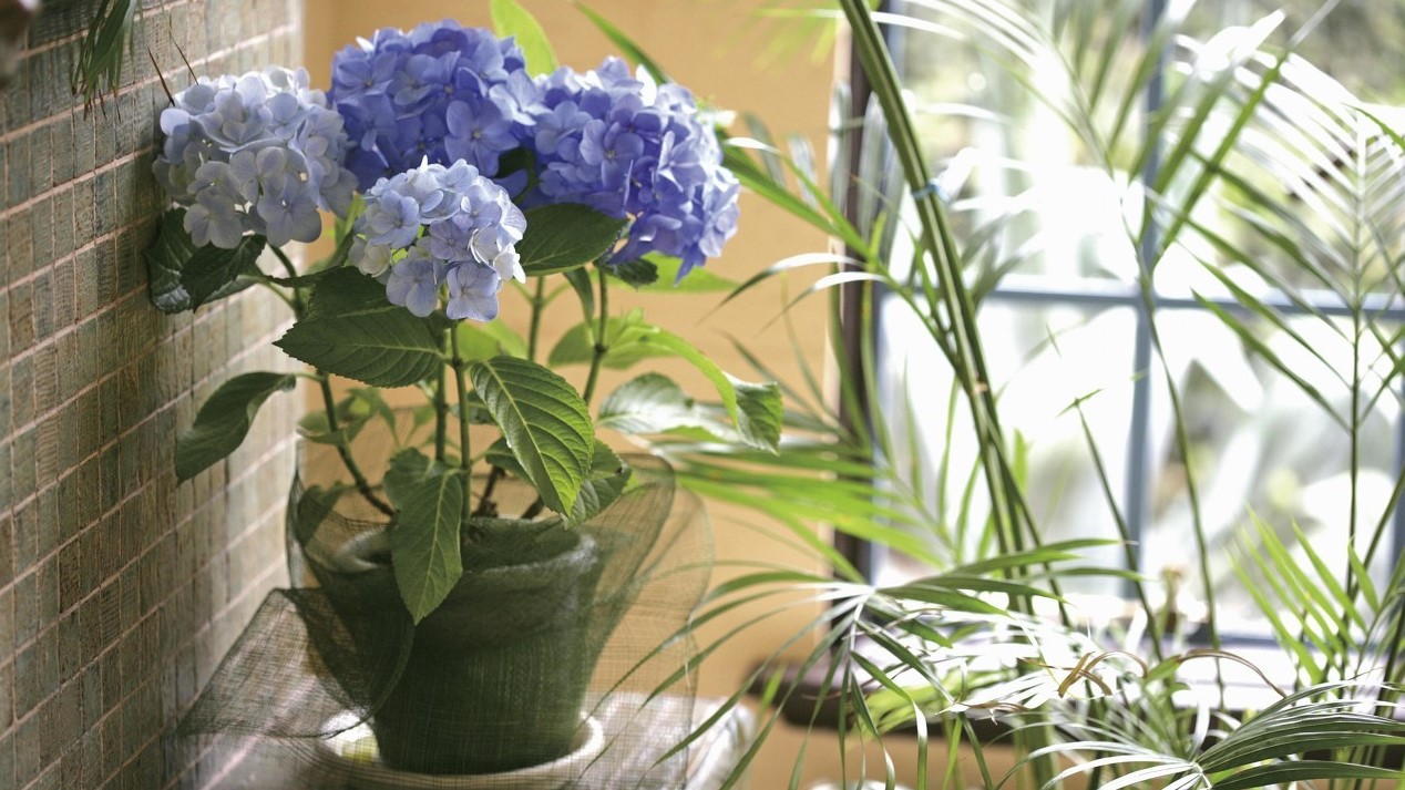 碎花风格装修,卧室布置碎花小清新