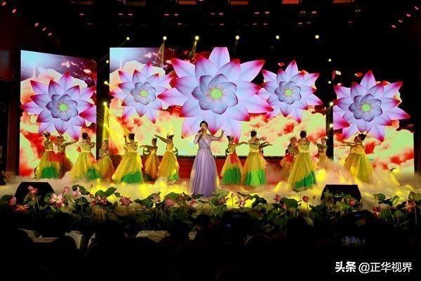 尽领龙湖风情品味水韵荷香2019淮阳龙湖赏荷旅游月精彩启幕