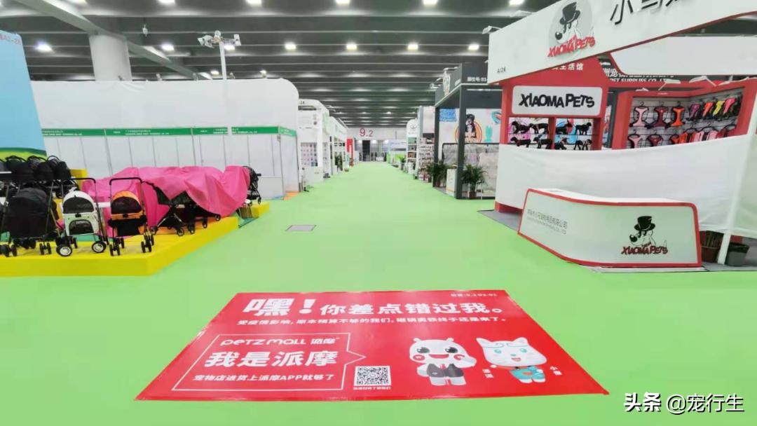 2020CIPS宠物展于广州开展，一大波萌物正在靠近