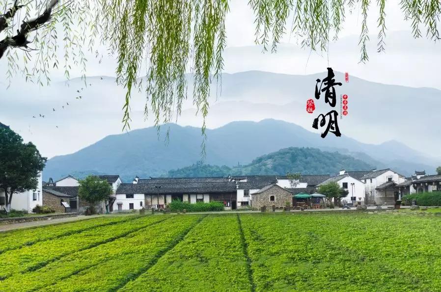 清明节雨纷纷追思故人,清明时节雨纷纷悼念故人