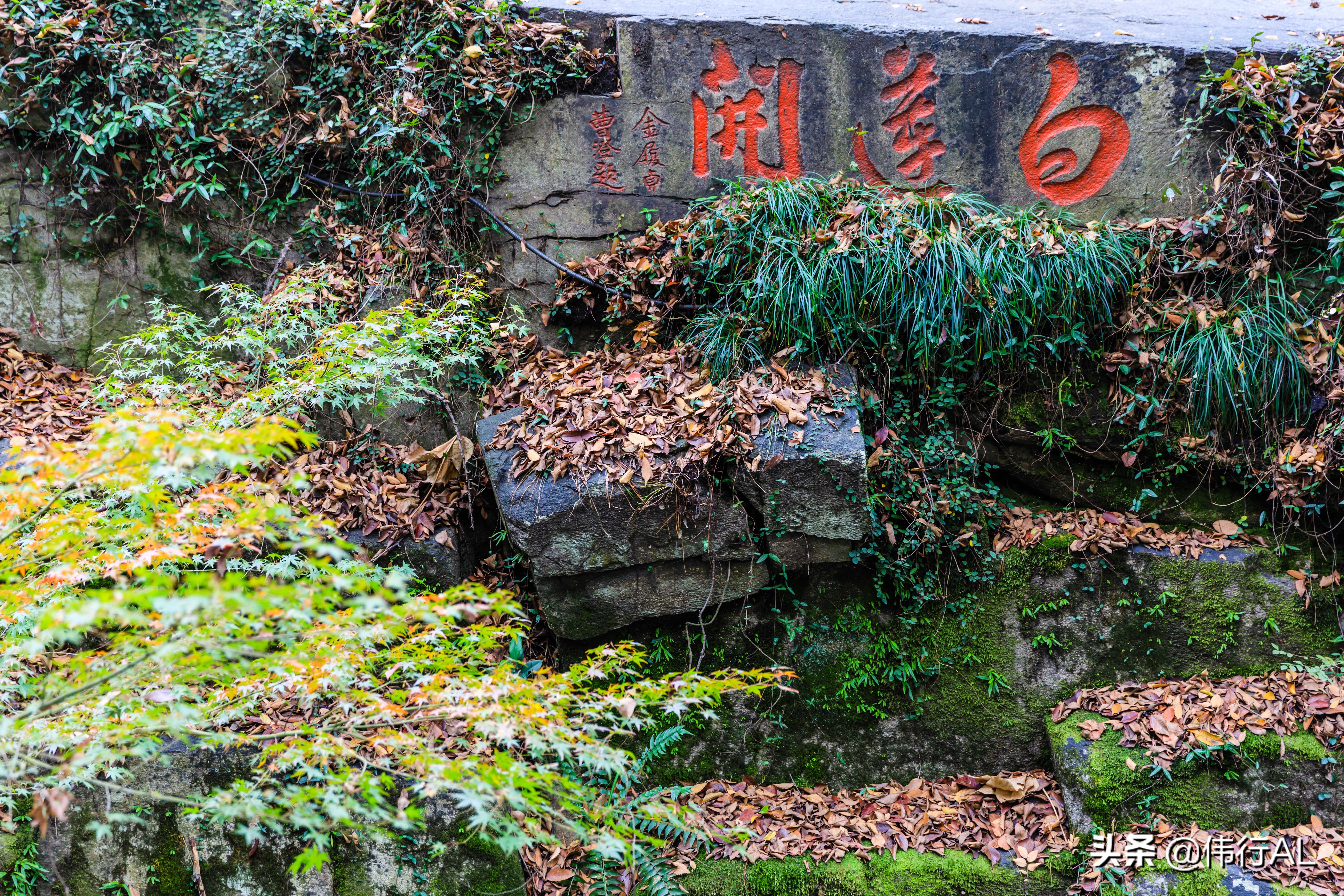 虎丘的十八景,吴中第一名胜虎丘纪念章