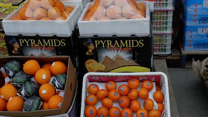 郑州各大批发市场一览表,河南郑州万邦国际农产品批发市场