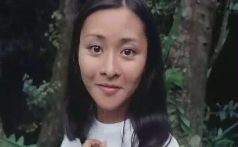 香港新浪潮电影是什么,香港新浪潮时期的电影