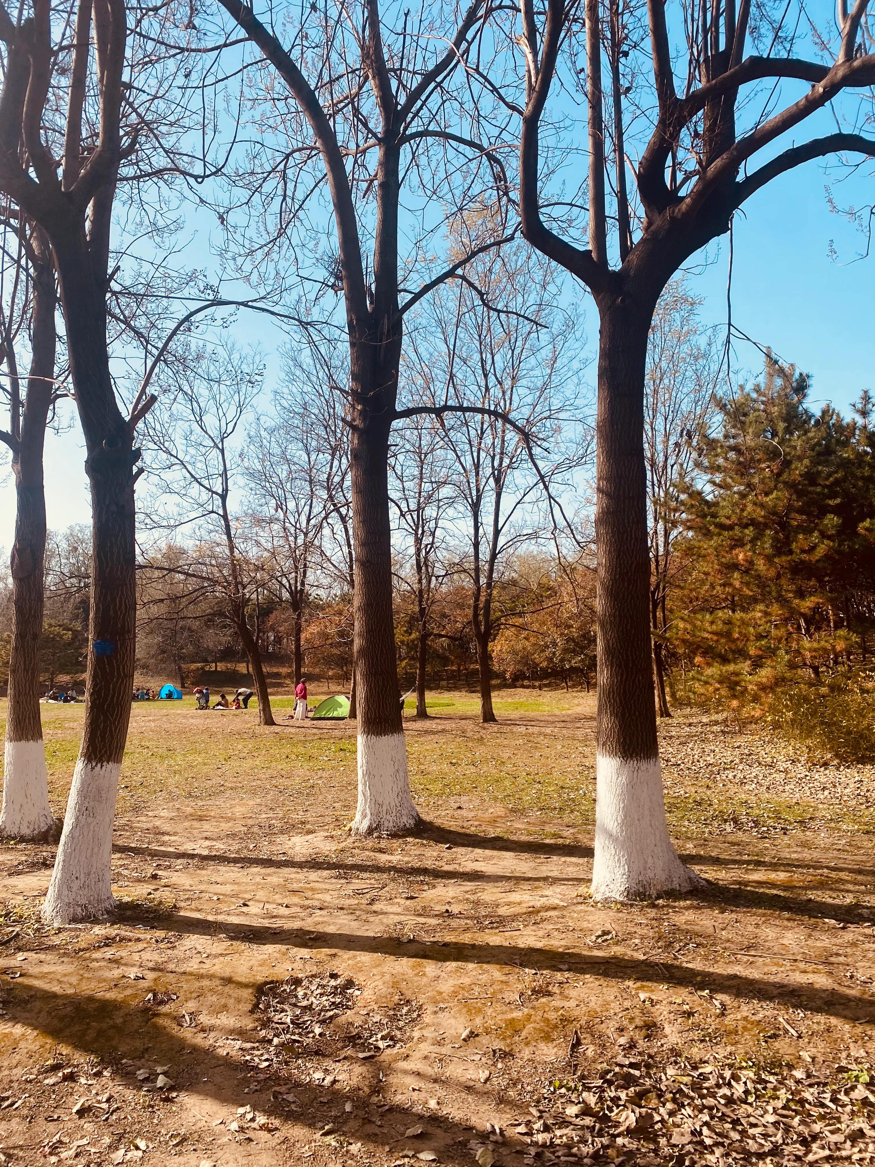 奥森冬天带娃游玩攻略,奥森公园亲子游攻略