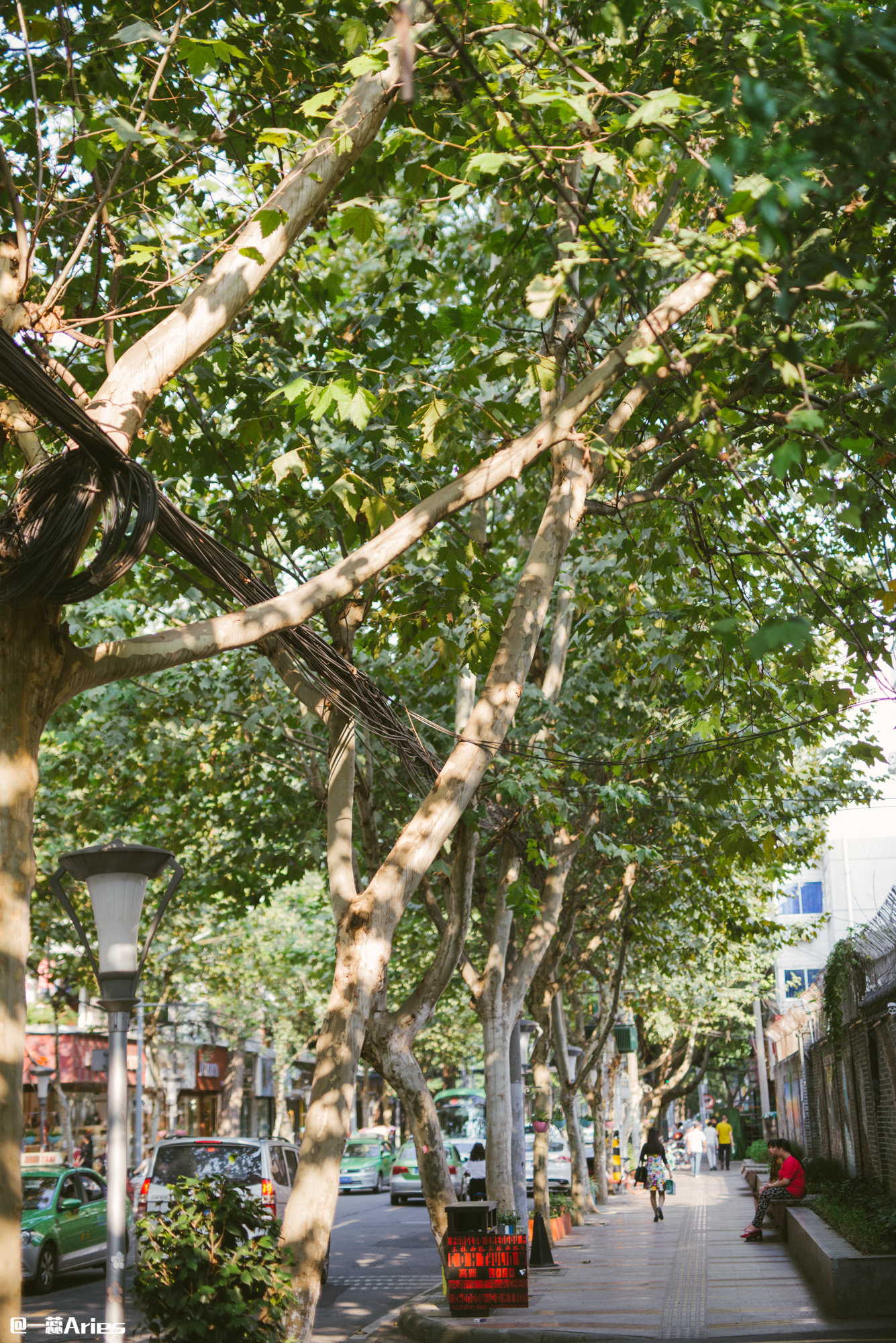 七夕约会攻略成都,520适合情侣约会的地方成都