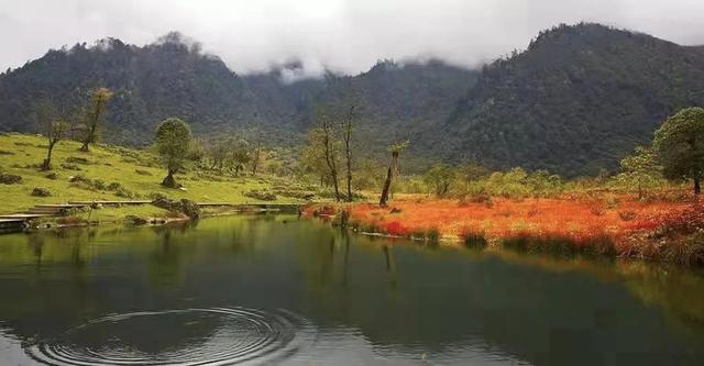 红了！黑竹沟迎颜值巅峰快去穿越五彩童话世界