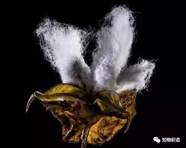 纯棉浴巾与全棉浴巾哪个好,浴巾超细纤维80%好还是90%的好