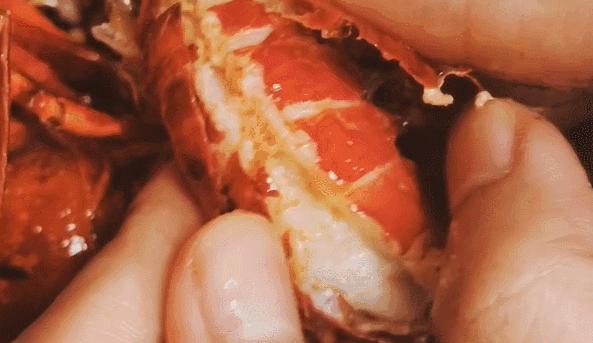 长沙国庆节游玩攻略,适合老年人游玩长沙攻略