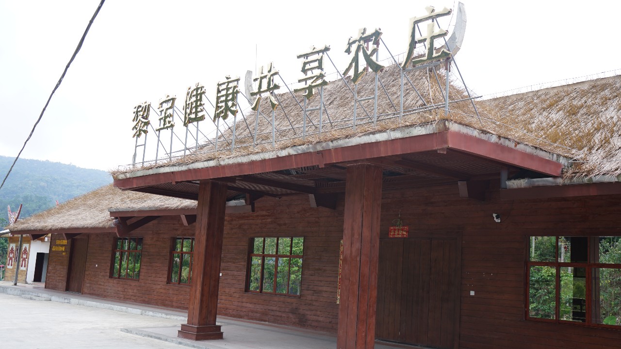 调研联盟,联合调研乡村振兴