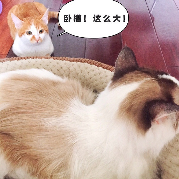 广州租房最便宜的区排行,最近广州租房一楼哪里便宜又好