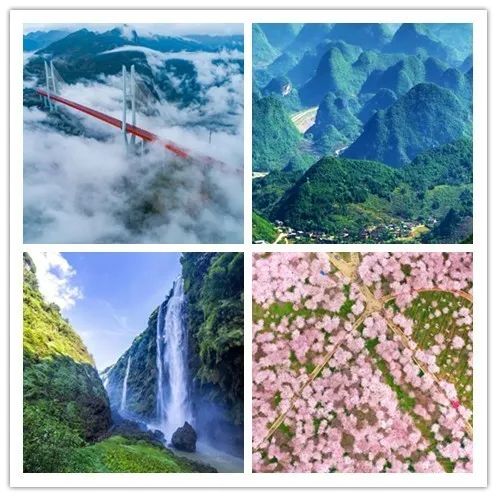 多彩贵州酱香经典,多彩贵州美酒53度酱香