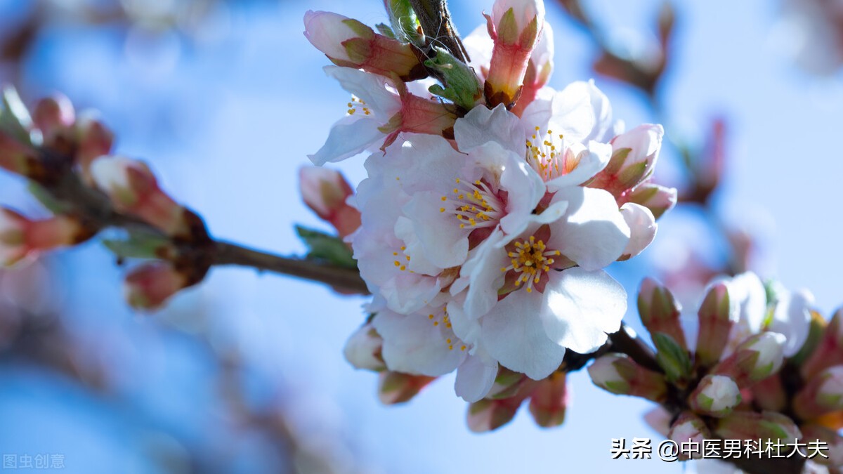 肾虚怕冷失眠盗汗脚心出汗,畏寒怕冷燥热盗汗什么原因