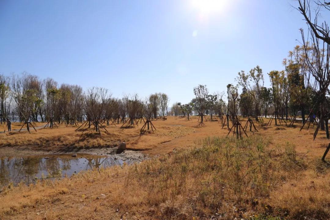 环海西路何时开工,环海路开放时间