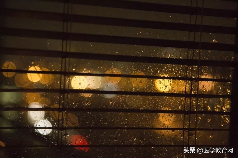 哪吒降妖记里面所有导演,哪吒导演获奖短片