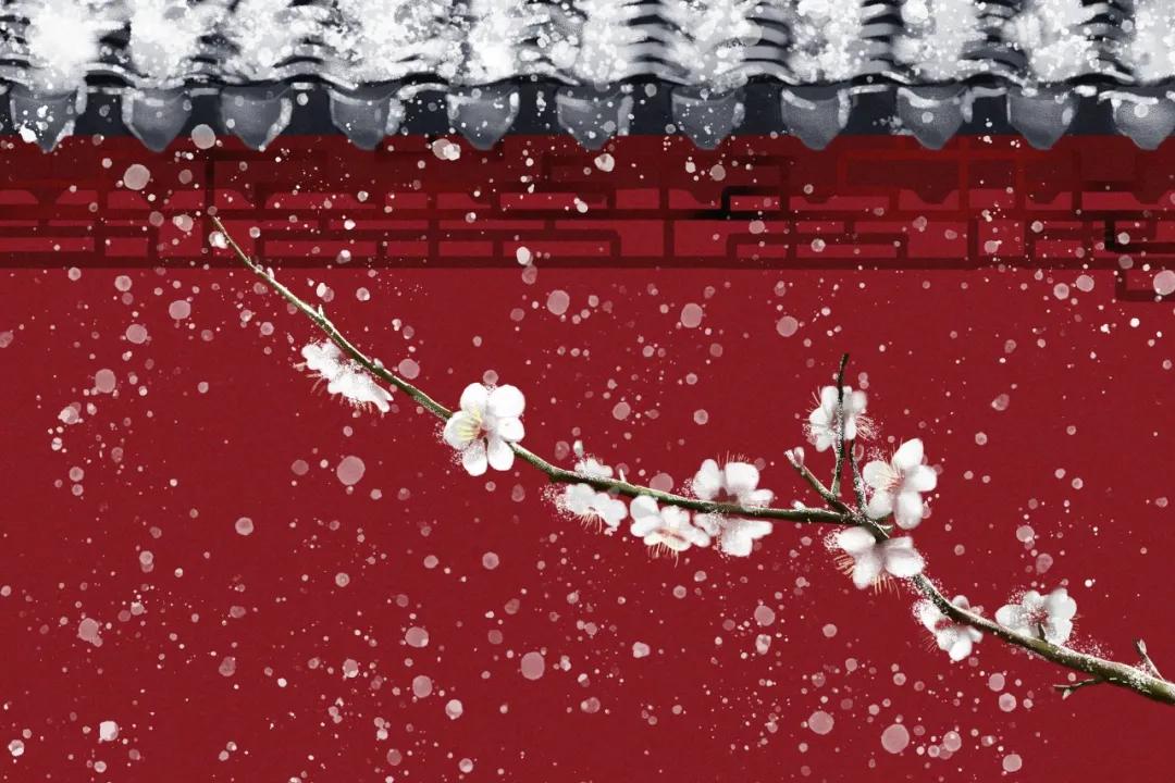 敢跟杨贵妃争宠，怒怼唐玄宗，她的诗里藏着爱情最大的秘密