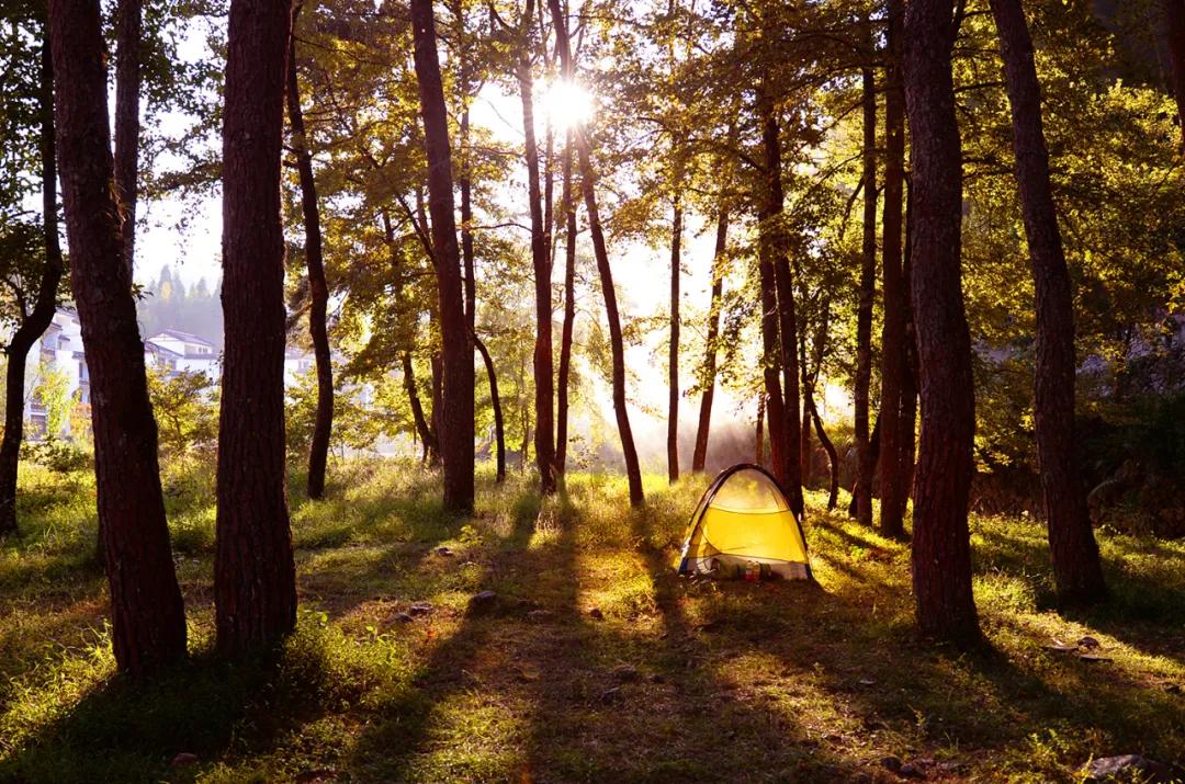 夏天泰顺避暑,泰顺度假胜地