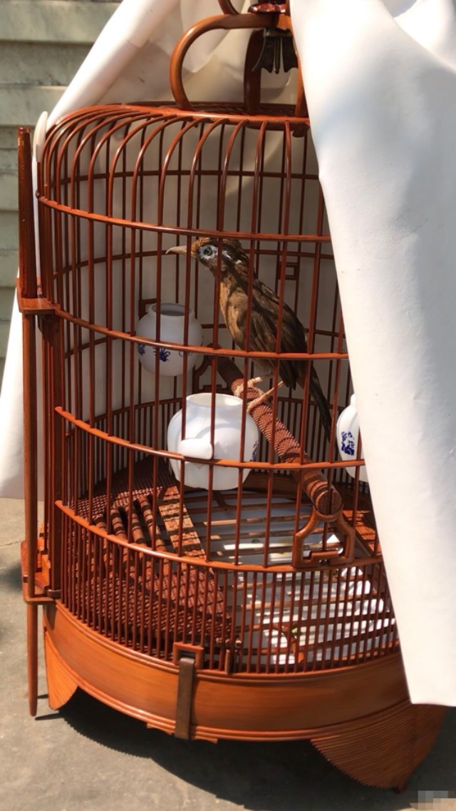 笼布的小技巧,笼布怎么使用不粘馒头