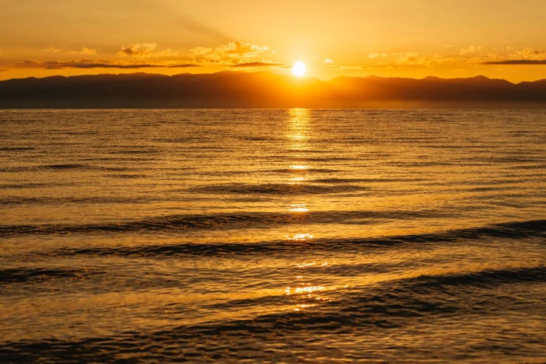 只要你面朝青海湖，八月依旧春暖花开