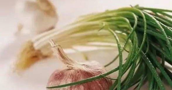 夏季野钓鲫鱼公认单开最强饵料,谷物香饵料夏季野钓加什么小药