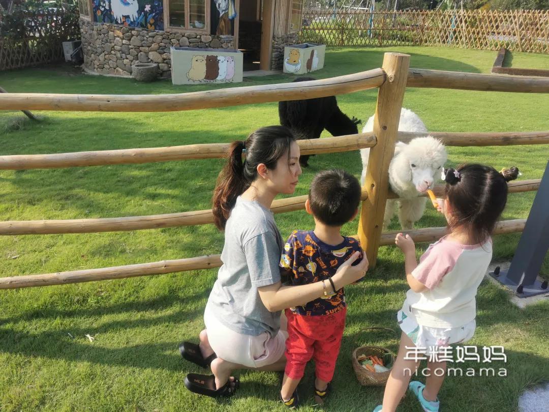 丁克自己生了孩子,41岁丁克生双胞胎