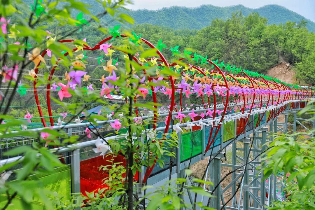 绿野仙踪旅游景区夜晚,画眉谷旅游景区