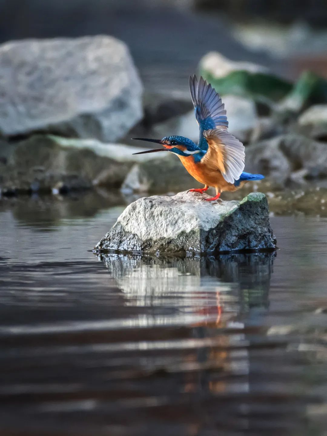 「生态」我在恩平很幸福
