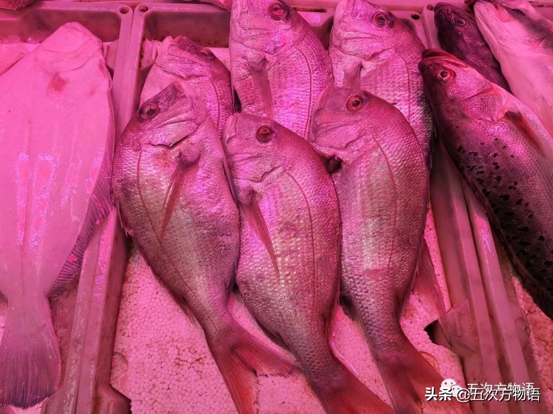 青岛海鲜市场价格表今日,青岛哪个农贸市场海鲜最便宜又好