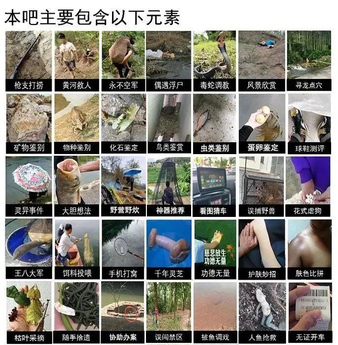 贴吧的奇葩问题,贴吧遇到的奇葩故事