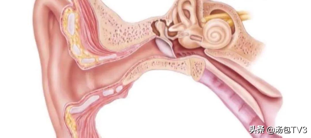 意外！男子掏耳不慎致棉花堵塞“弯道”