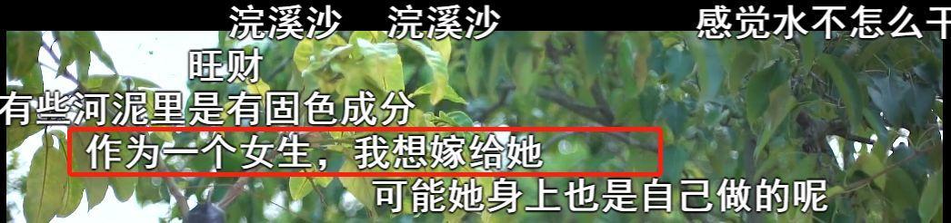 她在全世界圈粉,却在国内挨骂