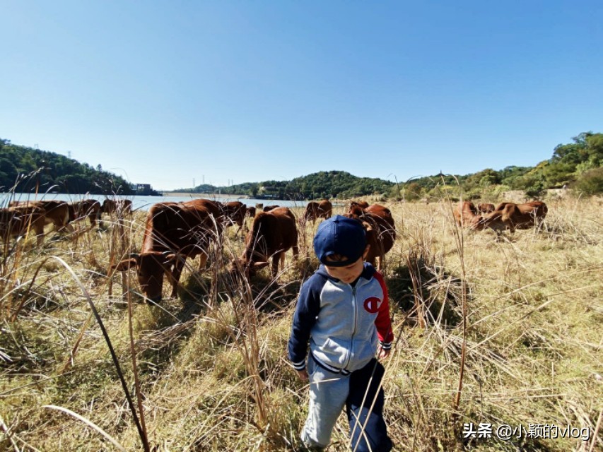 福州市登云水库好玩吗,福州登云水库实拍