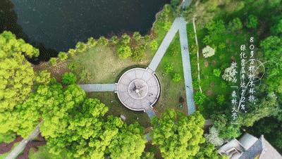 这5所大学被称为“小清华”，考上就等同铁饭碗（含录取分数线）