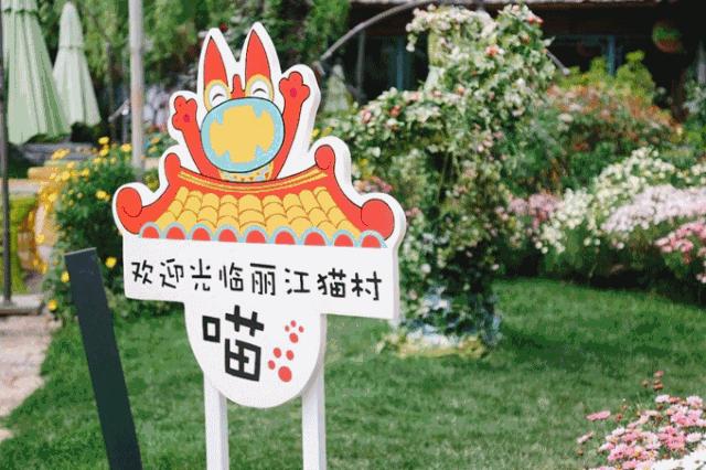 抢占亿万级IP风口,这家公司差异化突围