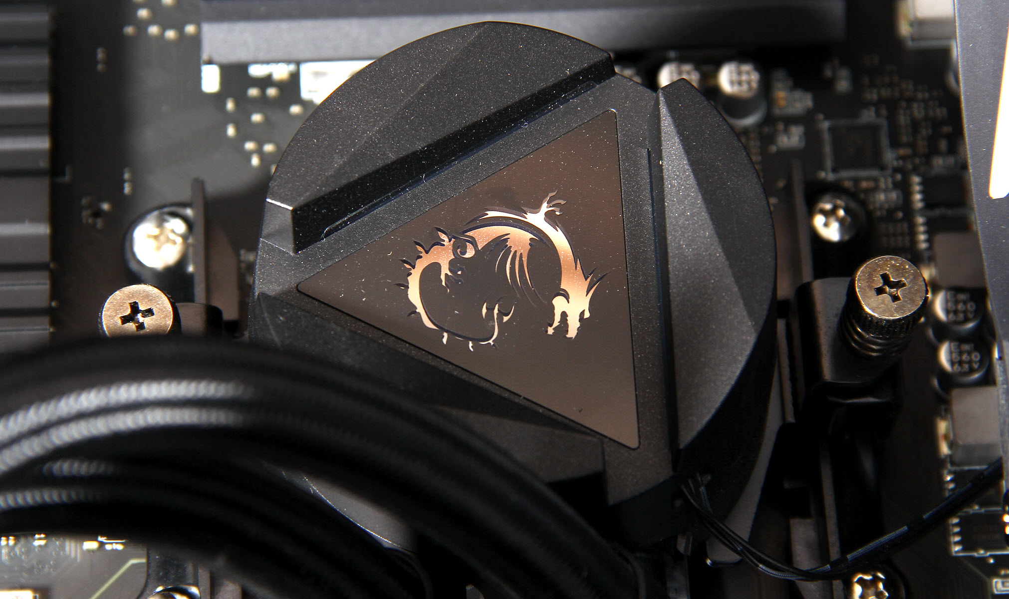 有一种含蓄叫锐龙，明明是个高手，偏偏装作很平庸